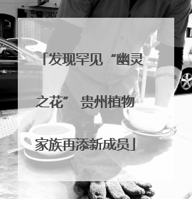 发现罕见“幽灵之花” 贵州植物家族再添新成员